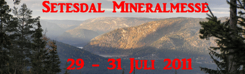 Banner Setesdal Mineralmesse